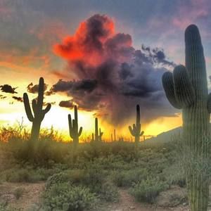 Meet your Posher, Sally